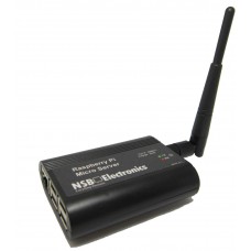 Raspberry Pi Micro Server